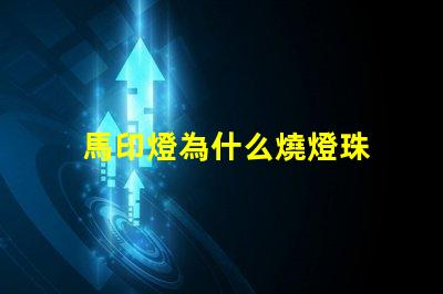 馬印燈為什么燒燈珠 馬印燈用的什么燈珠